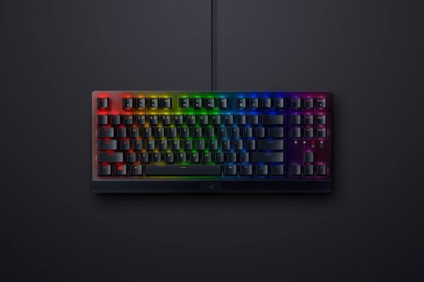 Razer Blackwidow V3 Tenkeyless